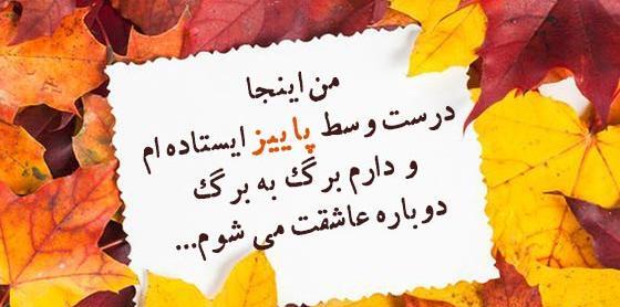 عکس پاییز شروع شد