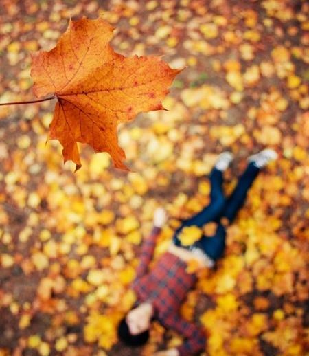 عکس پاییز شروع شد