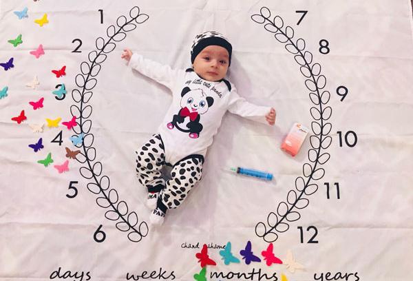 عکس ماهگرد مدل پروانه