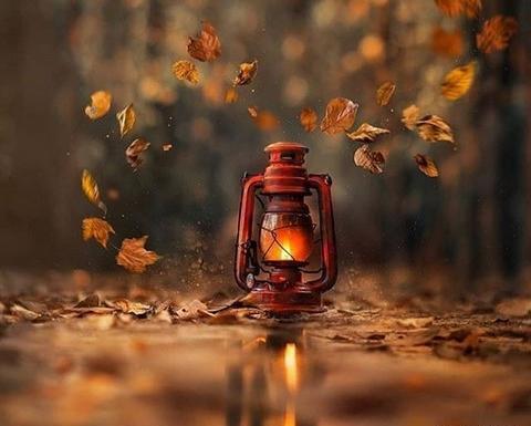 عکس پاییز عاشقانه بدون متن