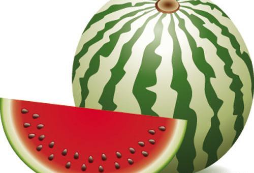 عکس دانلود وکتور هندوانه