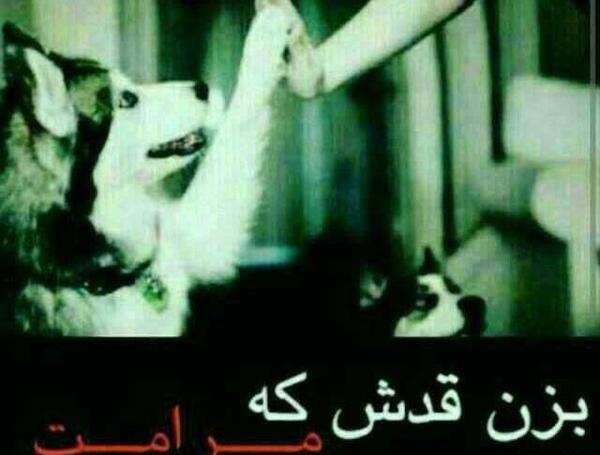 عکس نوشته لوتی قدیمی