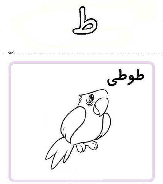 عکس نقاشی ض