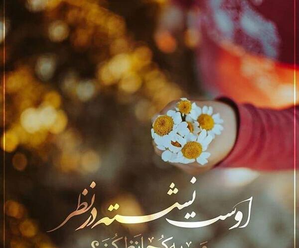 عکس پروفایل نشسته