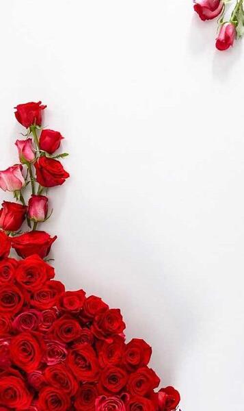 عکس خام برای نوشتن