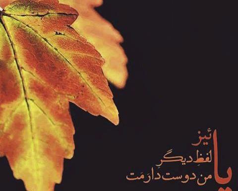 عکس نوشته پاییزی که آذرخش به نام توست