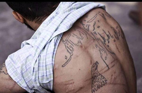 عکس چاقوی وحید مرادی تمساح