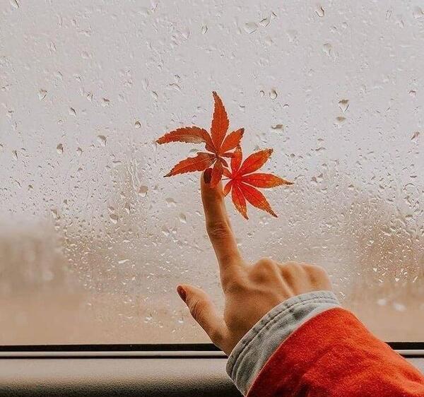 عکس پروفایل پاییز بارانی
