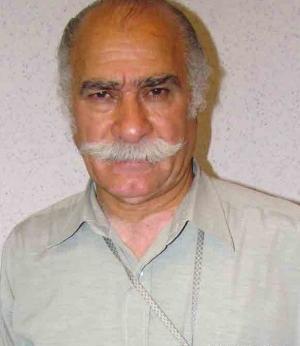 عکس همسر سیامک اشعریون