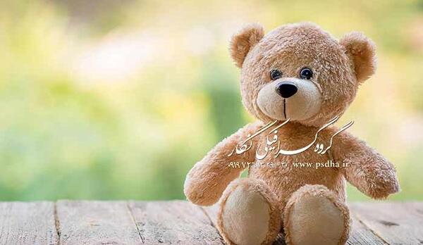 عکس بک گراند خرس