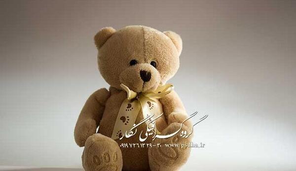 عکس بک گراند خرس
