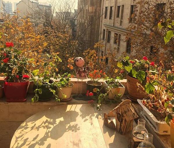 عکس صبحانه پاییزی