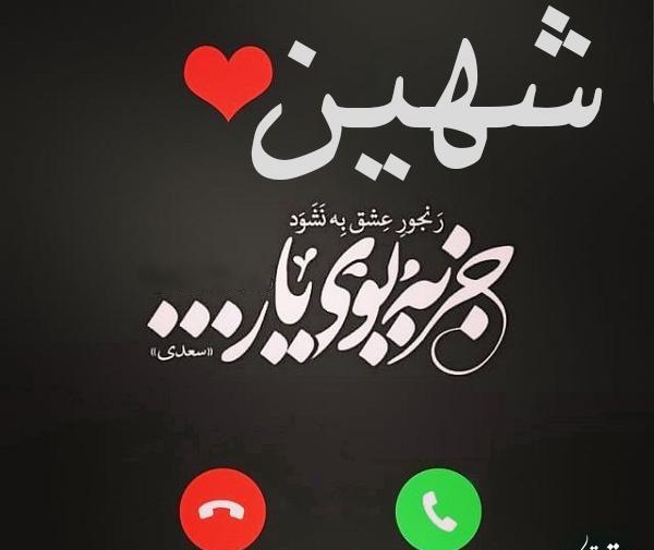 عکس پروفایل مامان شهین