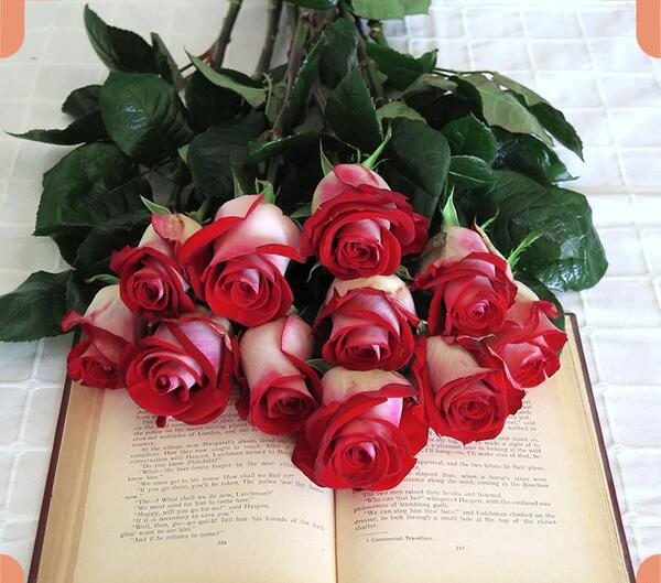عکس گروه گل
