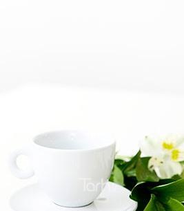 عکس فنجان خالی