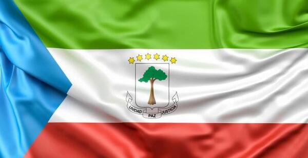عکس پرچم گینه