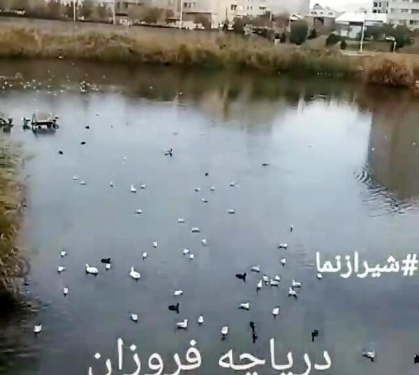 عکس پارک فروزان شیراز
