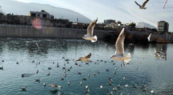 عکس پارک فروزان شیراز