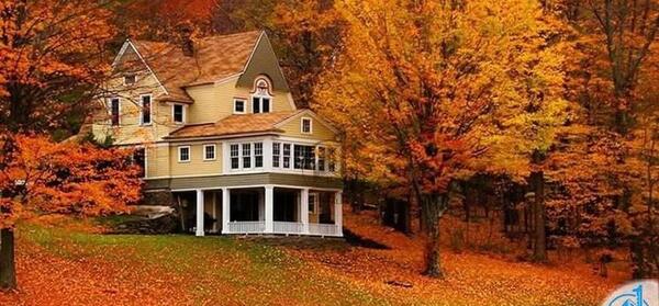 عکس قو در پاییز