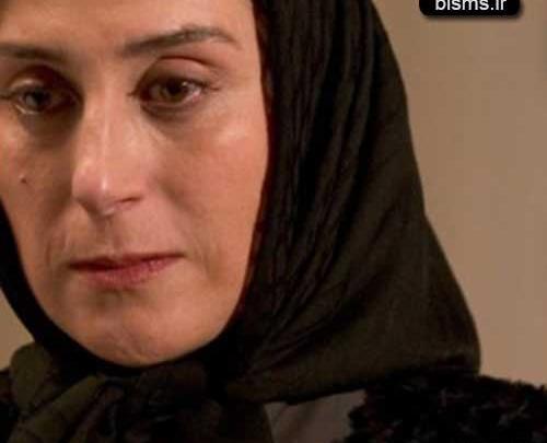عکس جدید فاطمه معتمدآریا و همسرش