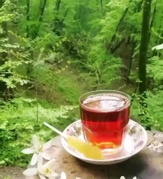 عکس صبح بخیر با چای