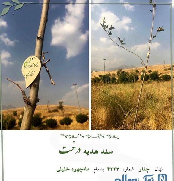عکس سوسن پرور در مراسم ماه چهره