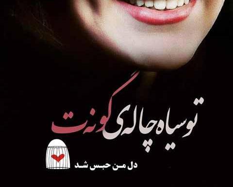 عکس پروفایل خاص دخترونه چال گونه