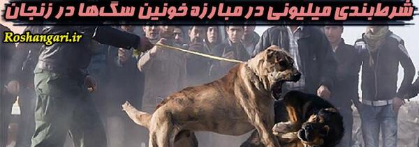 عکس سگ ظالم ملایر