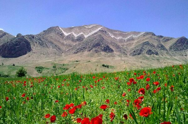 عکس جاهای دیدنی لالی