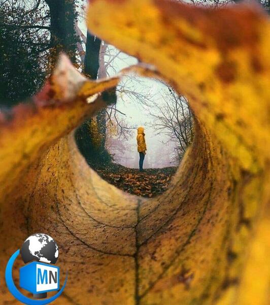 عکس پاییز آذر