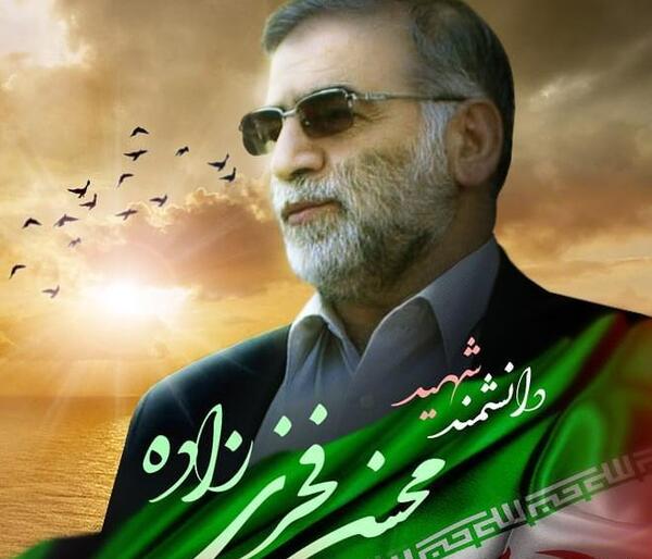 عکس و تصویر محسن فخری زاده