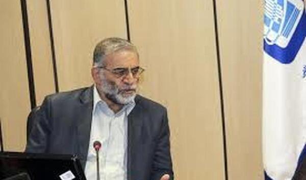 عکس و تصویر محسن فخری زاده
