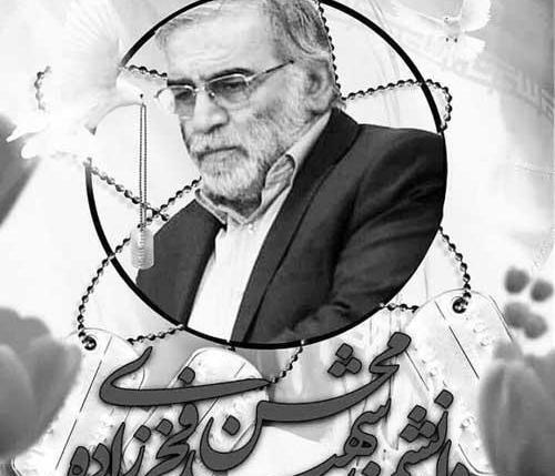 عکس و تصویر محسن فخری زاده