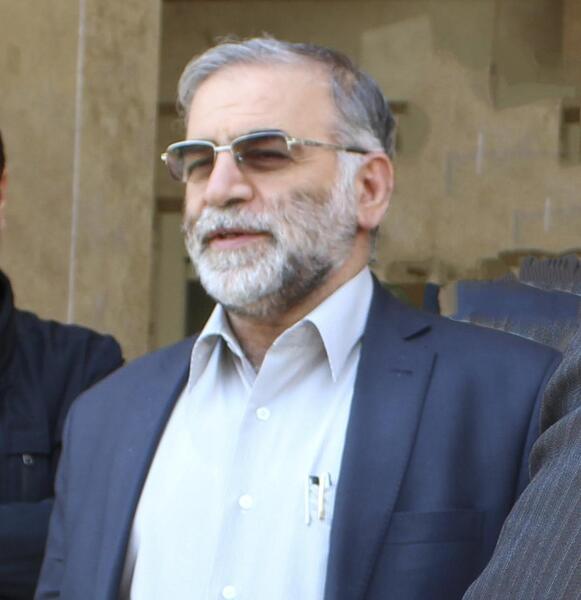 عکس و تصویر محسن فخری زاده