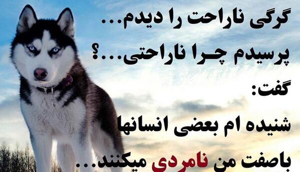 عکس پروفایل گرگ رفیق