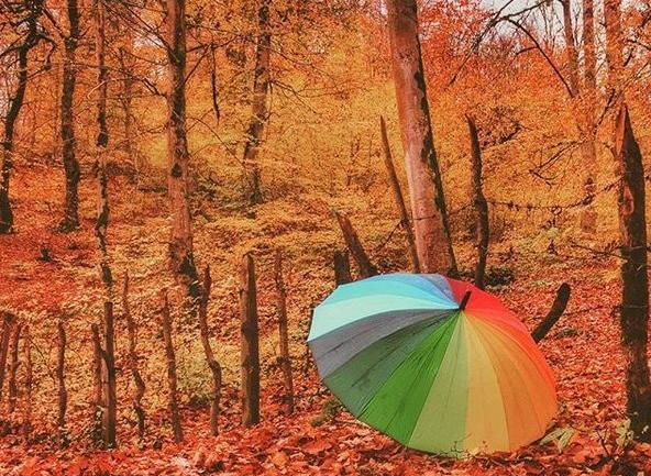 عکسهای پاییزی زیبا برای پروفایل