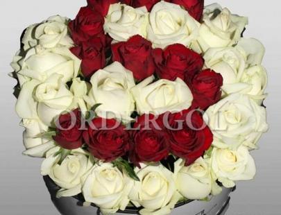 عکس جالب برای پشت پروفایل