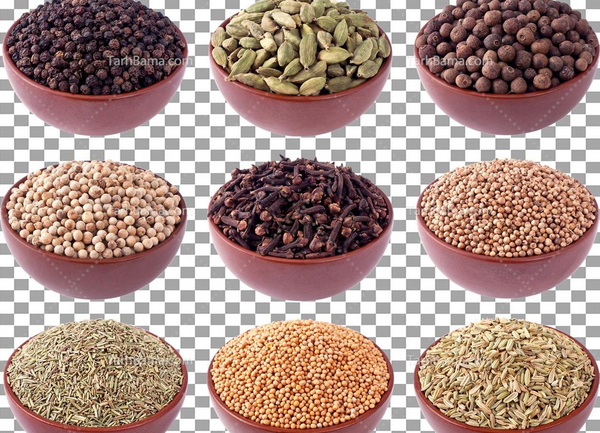 عکس وکتور حبوبات