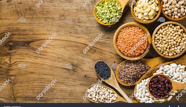 عکس وکتور حبوبات