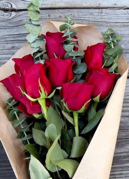 عکس تصویر گل زیبا برای پروفایل