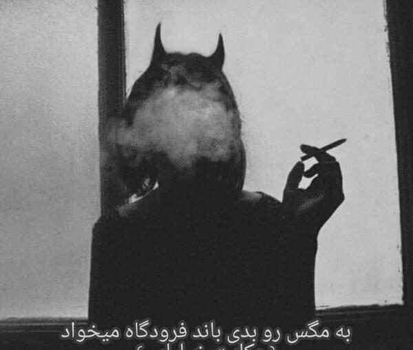 دانلود عکس پروفایل پشه