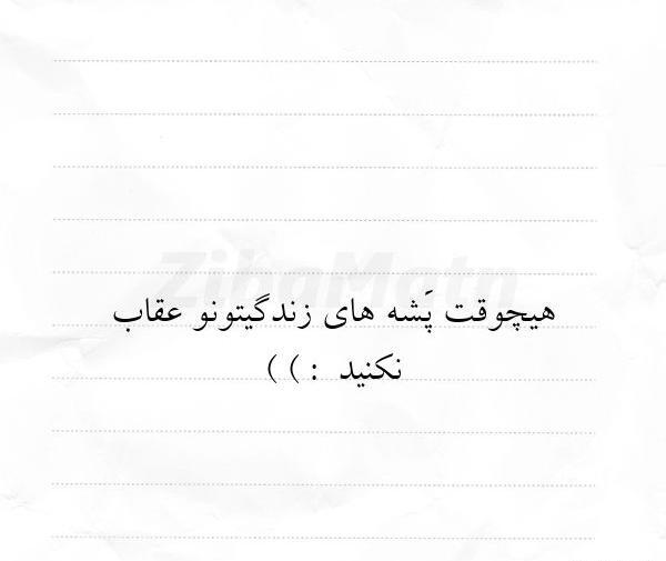 دانلود عکس پروفایل پشه