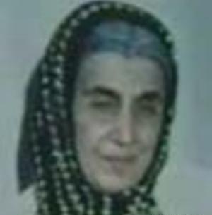 عکس و بیوگرافی پروین میکده