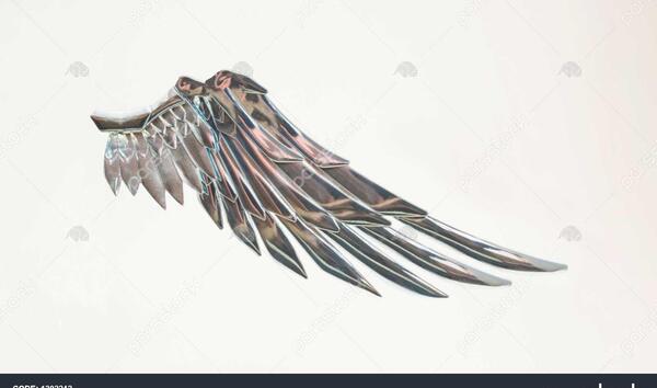 عکس فرشته پرنده