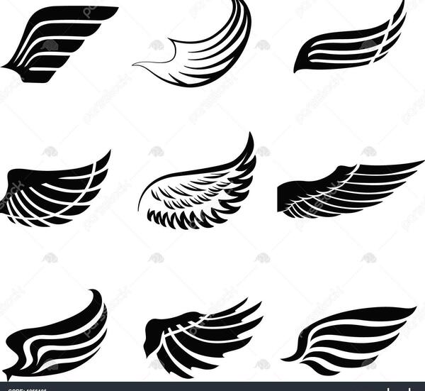 عکس فرشته پرنده