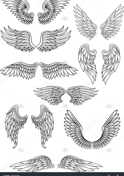 عکس فرشته پرنده