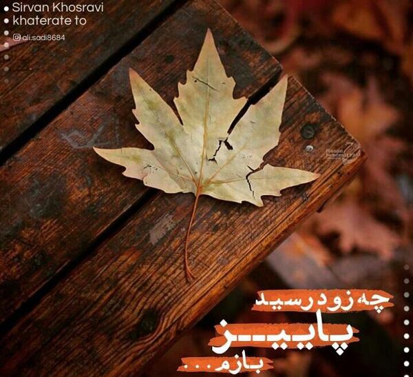 عکس پاییز رسید