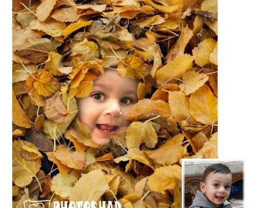 عکس ماهگرد نوزاد با برگ پاییزی