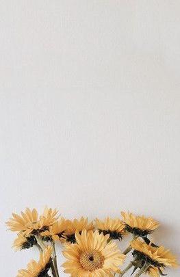عکس خام برای نوشتن متن