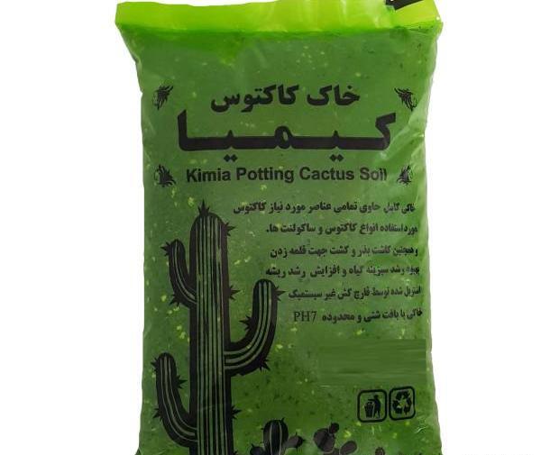 عکس خاک کاکتوس